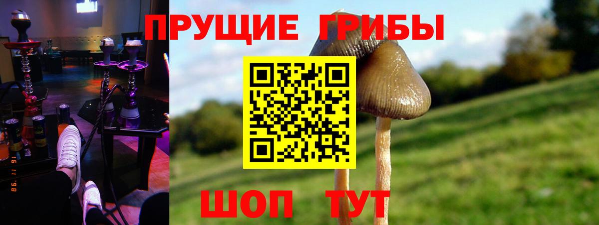 Берёзовский  Галлюциногенные грибы Psilocybine cubensis  цены наркотик  Вход с VPN 