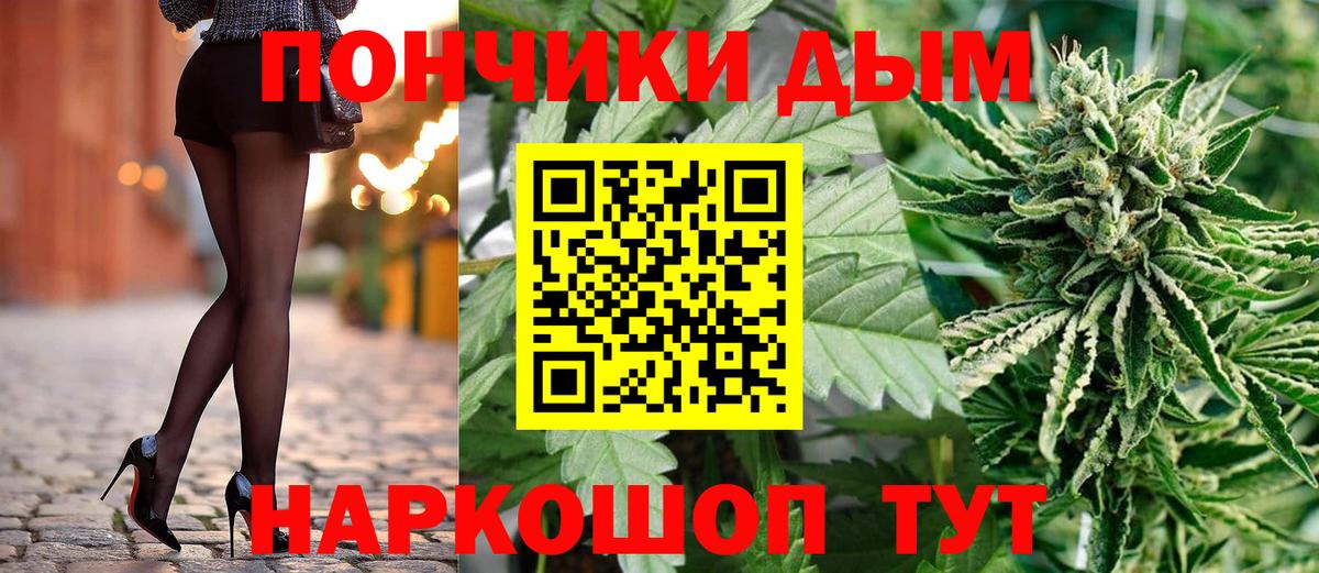 Каннабис гибрид Берёзовский